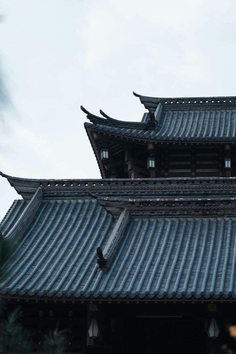 peyuja-niduno.site - Image 15