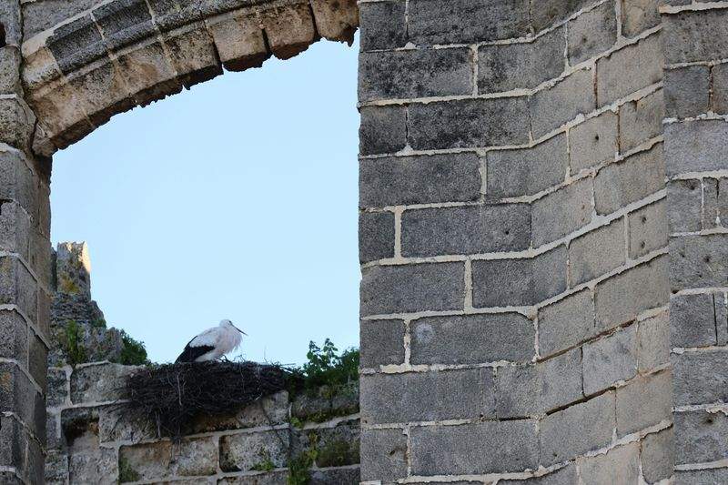 peyuja-niduno.site - Image 5